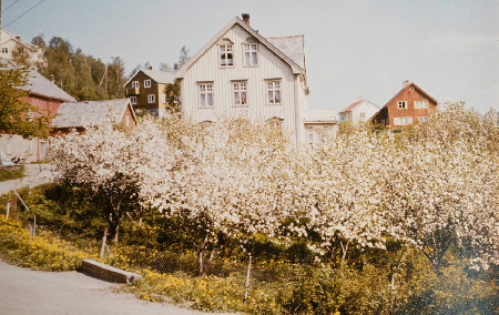 Gammelt bilde 1 av Grønberg Gård